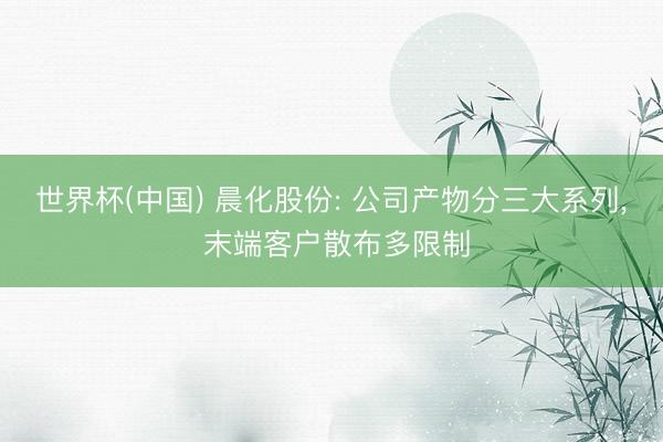 世界杯(中国) 晨化股份: 公司产物分三大系列， 末端客户散布多限制