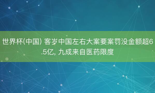 世界杯(中国) 客岁中国左右大案要案罚没金额超6.5亿， 九成来自医药限度