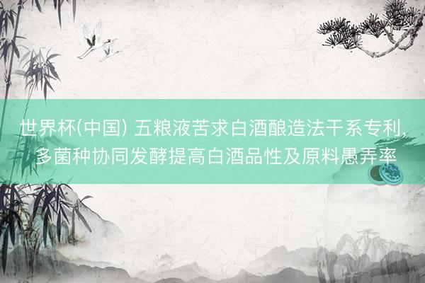 世界杯(中国) 五粮液苦求白酒酿造法干系专利， 多菌种协同发酵提高白酒品性及原料愚弄率