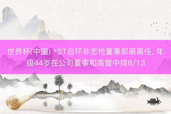 世界杯(中国) *ST启环非悲怆董事郭萌离任， 年级44岁在公司董事和高管中排8/13