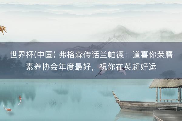 世界杯(中国) 弗格森传话兰帕德：道喜你荣膺素养协会年度最好，祝你在英超好运