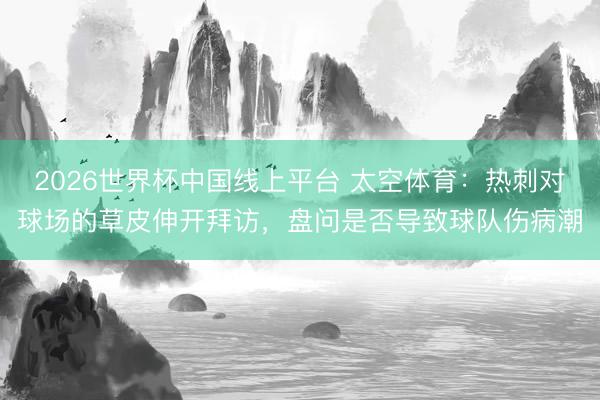 2026世界杯中国线上平台 太空体育：热刺对球场的草皮伸开拜访，盘问是否导致球队伤病潮