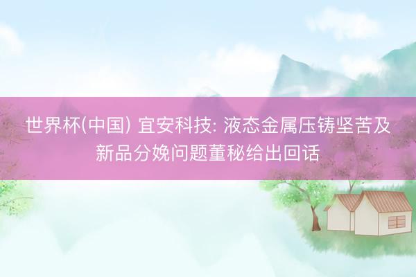 世界杯(中国) 宜安科技: 液态金属压铸坚苦及新品分娩问题董秘给出回话