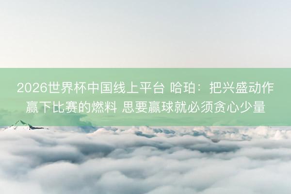 2026世界杯中国线上平台 哈珀:把兴盛动作赢下比赛的燃料 思要赢球就必须贪心少量