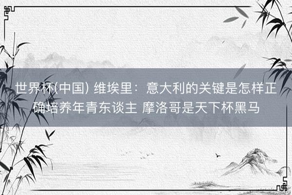 世界杯(中国) 维埃里：意大利的关键是怎样正确培养年青东谈主 摩洛哥是天下杯黑马