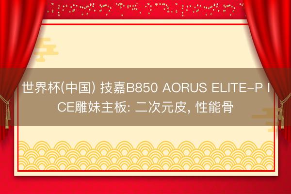 世界杯(中国) 技嘉B850 AORUS ELITE-P ICE雕妹主板: 二次元皮， 性能骨