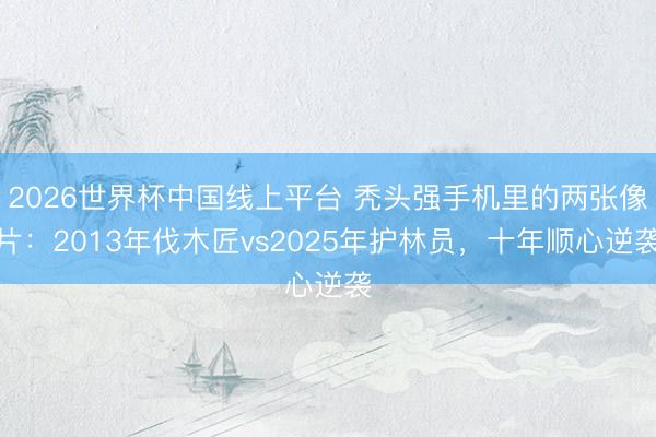 2026世界杯中国线上平台 秃头强手机里的两张像片：2013年伐木匠vs2025年护林员，十年顺心逆袭