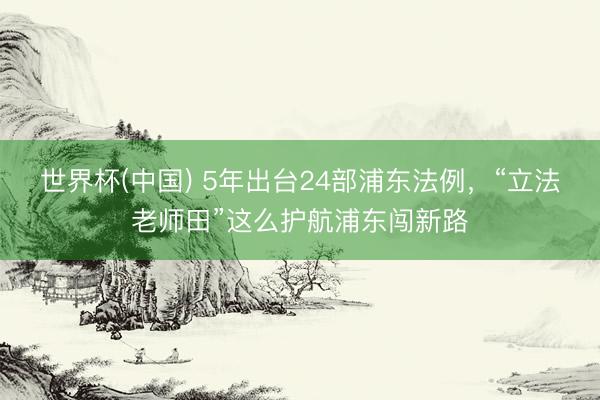 世界杯(中国) 5年出台24部浦东法例，“立法老师田”这么护航浦东闯新路