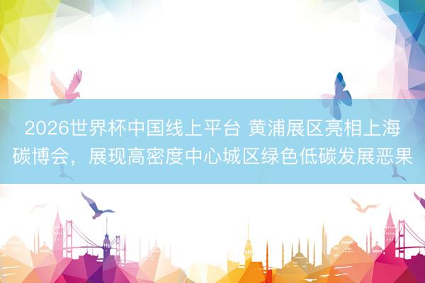 2026世界杯中国线上平台 黄浦展区亮相上海碳博会，展现高密度中心城区绿色低碳发展恶果