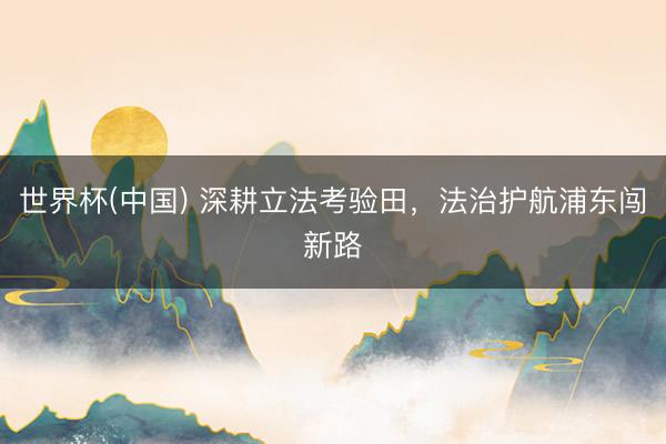 世界杯(中国) 深耕立法考验田,法治护航浦东闯新路
