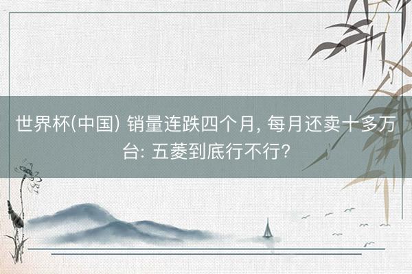世界杯(中国) 销量连跌四个月， 每月还卖十多万台: 五菱到底行不行?