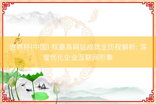 世界杯(中国) 权重高网站成就全历程解析: 深度优化企业互联网形象