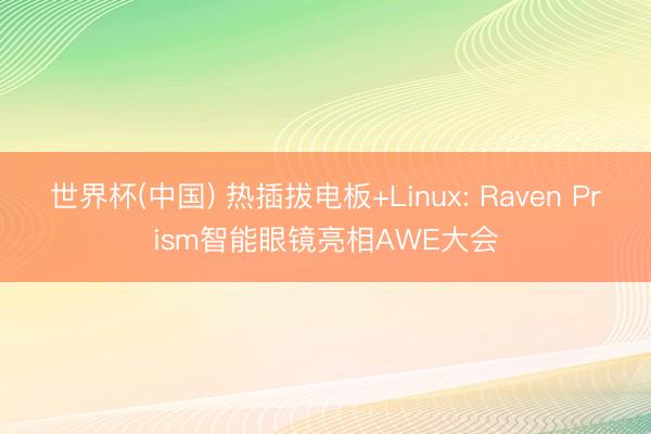 世界杯(中国) 热插拔电板+Linux: Raven Prism智能眼镜亮相AWE大会