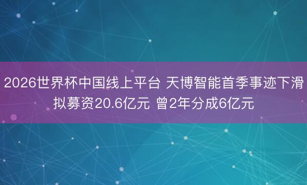 2026世界杯中国线上平台 天博智能首季事迹下滑拟募资20.6亿元 曾2年分成6亿元