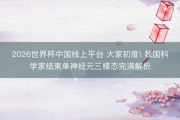 2026世界杯中国线上平台 大家初度! 我国科学家结束单神经元三模态完满解析