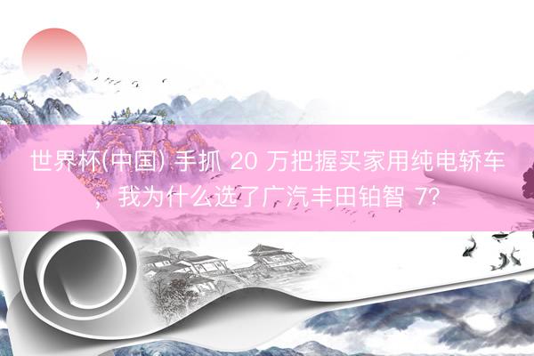 世界杯(中国) 手抓 20 万把握买家用纯电轿车，我为什么选了广汽丰田铂智 7？